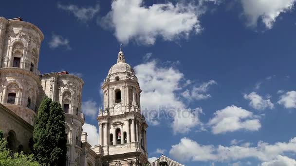 大教堂的马拉加是西班牙南部的马拉加市，安达卢西亚，文艺复兴教堂。它建成 1528年和 1782 年之间 — 图库视频影像