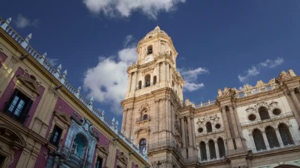 Catedral de Málaga es una iglesia renacentista en la ciudad de Málaga, Andalucía, sur de España. Fue construido entre 1528 y 1782 — Vídeo de stock