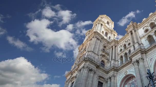 La cattedrale di Malaga è una chiesa rinascimentale della città di Malaga, in Andalusia, nel sud della Spagna. Fu costruito tra il 1528 e il 1782 — Video Stock