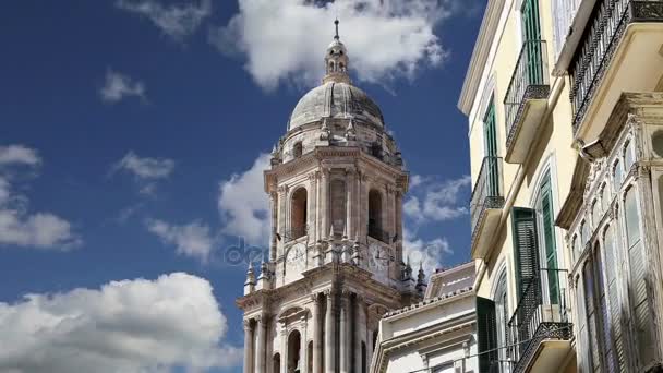 Catedral de Málaga es una iglesia renacentista en la ciudad de Málaga, Andalucía, sur de España. Fue construido entre 1528 y 1782 — Vídeo de stock