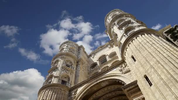 Catedral de Málaga é uma igreja renascentista na cidade de Málaga, Andaluzia, sul da Espanha. Foi construído entre 1528 e 1782. — Vídeo de Stock