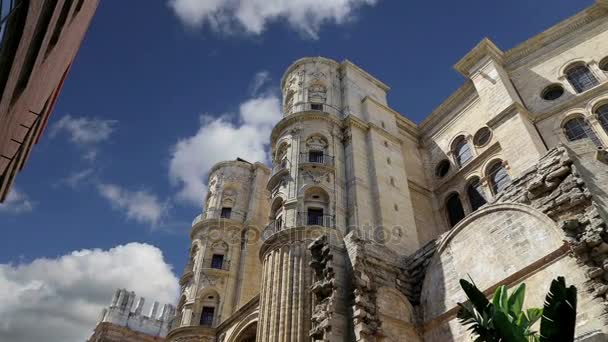 Кафедральный собор Малаги - церковь эпохи Возрождения в городе Малага, Андалусия, Южная Испания. Он был построен между 1528 и 1782 годами. — стоковое видео