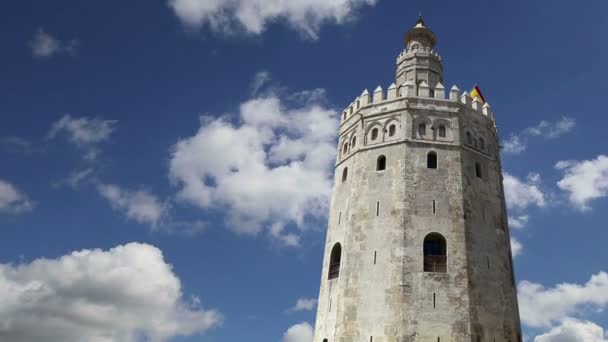 トッレ ・ デル ・ オロやゴールデン タワー (13 世紀)、セビリア、アンダルシア、スペイン南部の中世アラビア語軍事フェイゾン望楼 — ストック動画