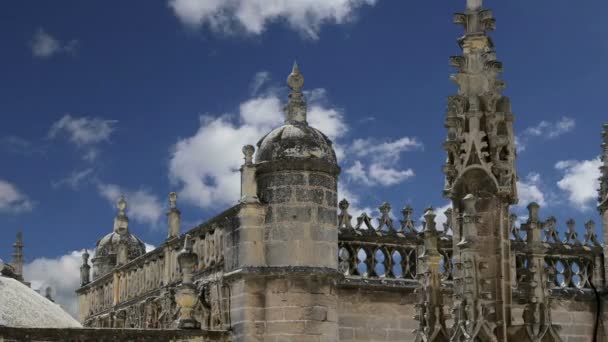 Katedralen i Sevilla--Cathedral of Saint Mary av se, Andalusien, Spanien--är den tredje största kyrkan i världen och på var det dags för avslutningen i 1500 it världen största. — Stockvideo