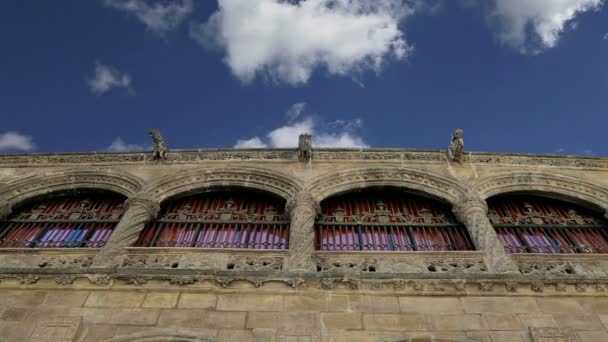Gotik ve İspanyol Rönesans tarzı, Endülüs, İspanya Granada Katedrali (vücut bulma Katedrali) — Stok video