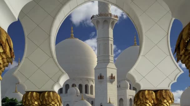 Abu Dhabi Sheikh Zayed Moschea Bianca negli Emirati Arabi Uniti — Video Stock