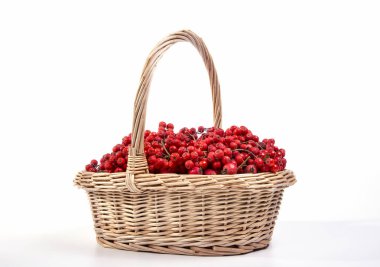 Beyaz arka plan üzerinde izole kırmızı üvez meyveleri  