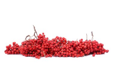 Beyaz arka plan üzerinde izole kırmızı üvez meyveleri  