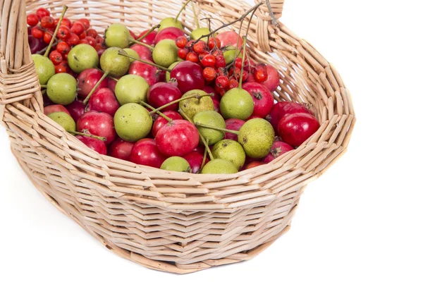 Natureza morta com pequenas maçãs vermelhas frescas, no fundo branco — Fotografia de Stock
