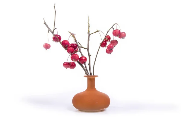 Bodegón con pequeñas manzanas rojas frescas En un jarrón de color, sobre fondo blanco —  Fotos de Stock