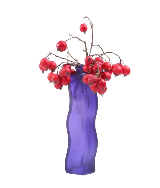 Vörös berkenye bogyók egy színes váza, elszigetelt fehér background — Stock Fotó