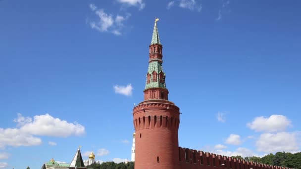 Θέα του Κρεμλίνου, Μόσχα, Ρωσία--την πιο δημοφιλή άποψη της Μόσχας — Αρχείο Βίντεο