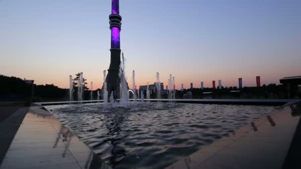 Torre de la televisión (Ostankino) en la noche, Moscú, Rusia — Vídeos de Stock