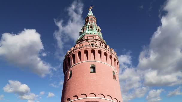 Vue sur le Kremlin, Moscou, Russie- la vue la plus populaire de Moscou — Video