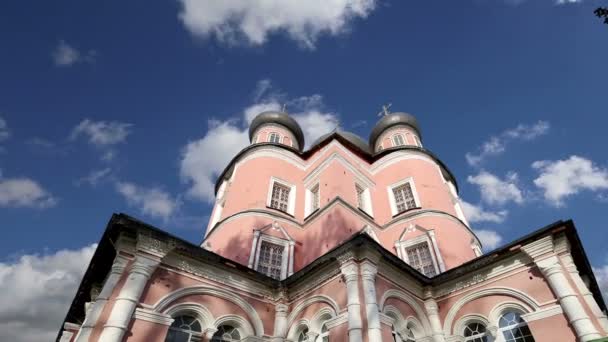 Donskoy klooster. Middeleeuwse Russische kerken op het grondgebied--klooster werd opgericht in 1591 en gebruikt een fort. Moskou, Rusland — Stockvideo