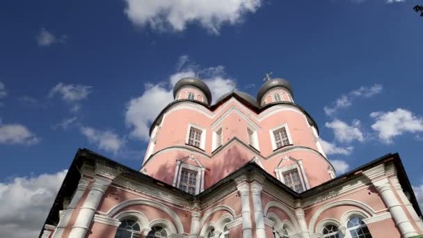 Donskoj kloster. Medeltida ryska kyrkor territorium--kloster var etablerade i 1591 och brukade vara en fästning. Moscow, Ryssland — Stockvideo