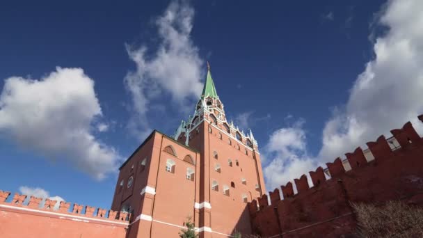 View of the Kremlin, Moscow, Russia- the most popular view of Moscow — стоковое видео