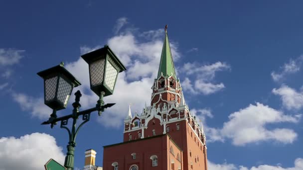 View of the Kremlin, Moscow, Russia- the most popular view of Moscow — стоковое видео