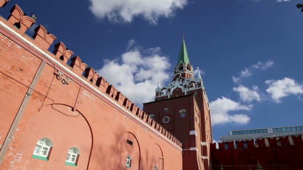 Blick auf den Kreml, Moskau, Russland - die beliebteste Ansicht von Moskau — Stockvideo