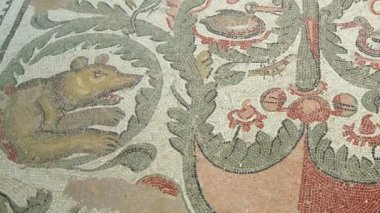 Sicilya, İtalya-03 Mayıs 2011: Mozaik parçası Roma Villa Romana del Casale, Sicilya, UNESCO Dünya Miras Listesi (Ken burns efekti)