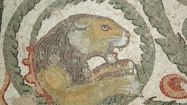 Sicilya, İtalya-03 Mayıs 2011: Mozaik parçası Roma Villa Romana del Casale, Sicilya, UNESCO Dünya Miras Listesi (Ken burns efekti)