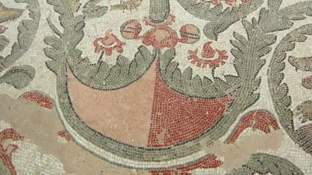 Sicílie Itálie Květen 2011 Mozaika Fragment Římská Villa Romana Del — Stock video