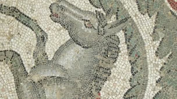 Sicily Itália Maio 2011 Mosaico Fragmento Roman Villa Romana Del — Vídeo de Stock