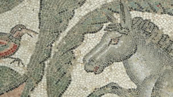 Sicily Itália Maio 2011 Mosaico Fragmento Roman Villa Romana Del — Vídeo de Stock
