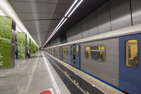 Moskva Ryssland Mars 2018 Metro Ramenki Station Thekalininsko Solntsevskaya Linjen — Stockfoto