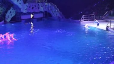 Moskova, Rusya - 21 Aralık 2018: Sunum (Show) Vdnkh Moskvarium - Avrupa 'nın en büyük deniz akvaryumu ve eğlence merkezi, Moskova, Rusya 