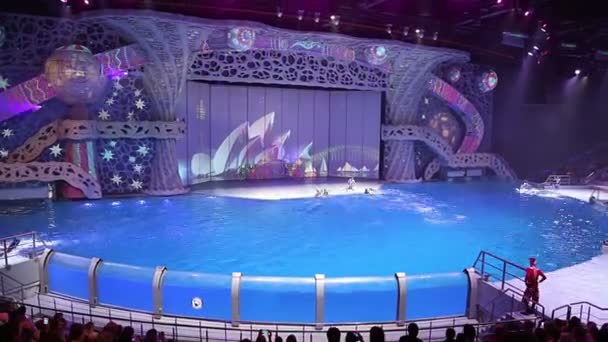 Moscou Russie Décembre 2018 Présentation Spectacle Vdnkh Moskvarium Grand Aquarium — Video