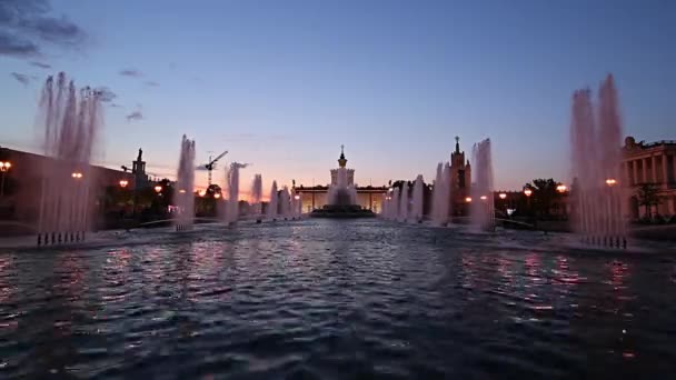 Moscow Russia August 2019 Fountain Stone Flower Vdnkh Moscow Vdnkh — Stock Video