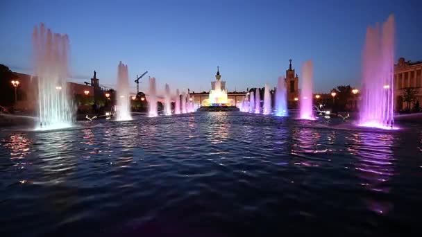 Moskva Ryssland Augusti 2019 Fountain Stone Flower Vdnkh Moskva Vdnkh — Stockvideo