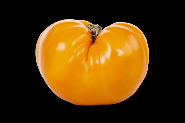 배경의 노란색 토마토와 살아가고 있습니다 — 스톡 사진