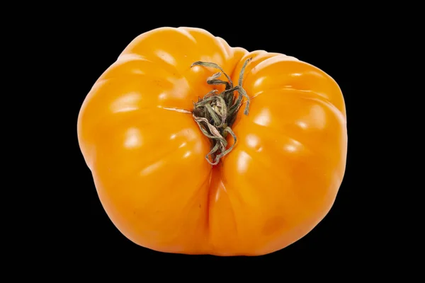 Bodegón Con Tomates Amarillos Frescos Sobre Fondo Negro —  Fotos de Stock