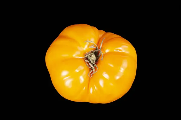 Natureza Morta Com Tomates Amarelos Frescos Fundo Preto — Fotografia de Stock