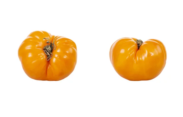 배경에 노란색 토마토와 살아가고 있습니다 — 스톡 사진