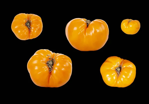 배경의 노란색 토마토와 살아가고 있습니다 — 스톡 사진