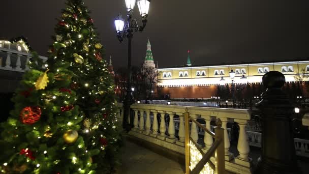 Moskva Ryssland December 2019 Juldekoration Moskva Natten Ryssland Manege Square — Stockvideo