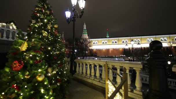 Moscú Rusia Diciembre 2019 Decoración Navidad Festivos Año Nuevo Moscú — Vídeos de Stock