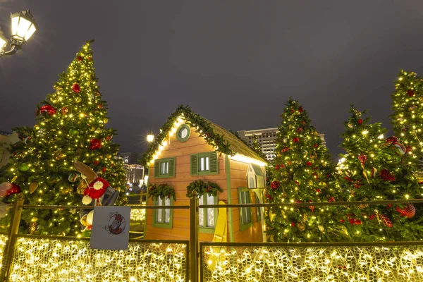Decoración Navidad Vacaciones Año Nuevo Moscú Por Noche Russia Manege —  Fotos de Stock