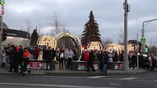 Mosca Russia Gennaio 2020 Decorazione Natalizia Festività Capodanno Nel Parco — Video Stock