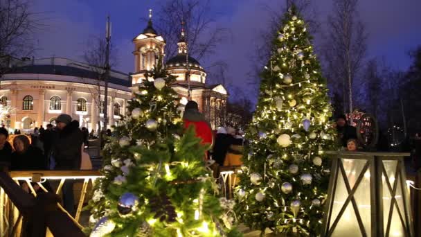 Moscou Russie Janvier 2020 Décoration Noël Vacances Nouvel Sur Parc — Video