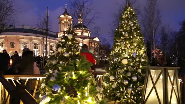 Moszkva Oroszország 2020 Január Karácsonyi Szilveszteri Dekoráció Zaryadye Parkban Városi — Stock videók