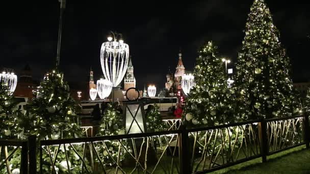 Moscow Russia January 2020 Christmas New Year Holidays Decoration Zaryadye — 비디오