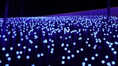 Moskova, Rusya - 3 Ocak 2020: Moskova, Rusya 'da Kızıl Meydan yakınlarında bulunan Zaryadye Parkı' ndaki Noel (Yeni Yıl Tatilleri) dekorasyonu. Moskova 'da Noel' e Yolculuk