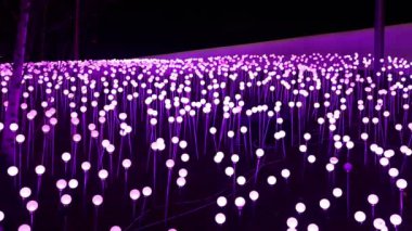 Moskova, Rusya - 3 Ocak 2020: Moskova, Rusya 'da Kızıl Meydan yakınlarında bulunan Zaryadye Parkı' ndaki Noel (Yeni Yıl Tatilleri) dekorasyonu. Moskova 'da Noel' e Yolculuk