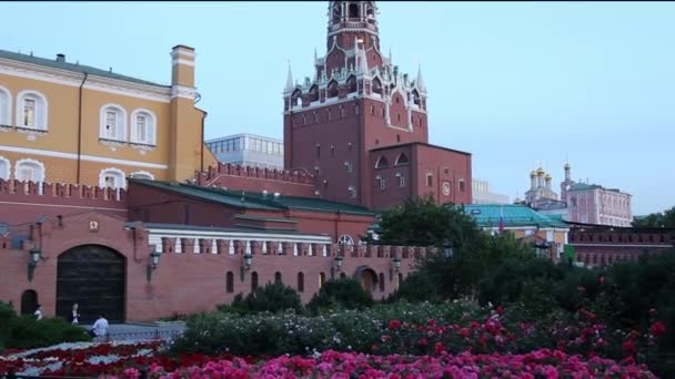 Moscow Russia September 2019 Alexander Garden Kremlin Moscow Russia Night — Stock Video