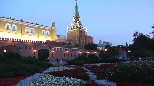 Moscow Russia September 2019 Alexander Garden Kremlin Moscow Russia Night — Stock Video