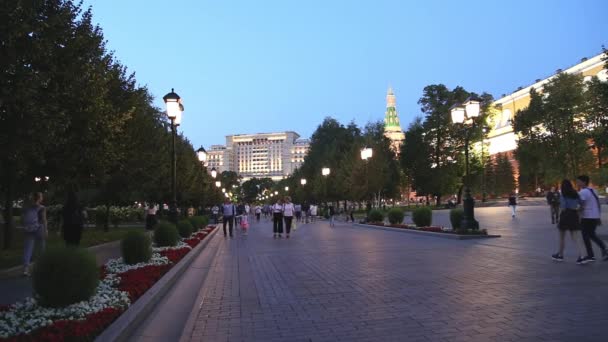 Moscow Russia September 2019 Alexander Garden Kremlin Moscow Russia Night — стокове відео